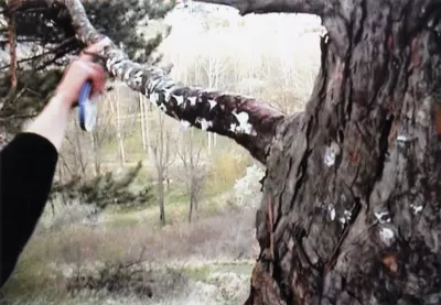 WRINKLES 6:35 min – 2004