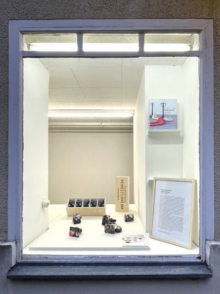 Blick in das Schaufenster mit der neuen Edition von Pravdoliub Ivanov