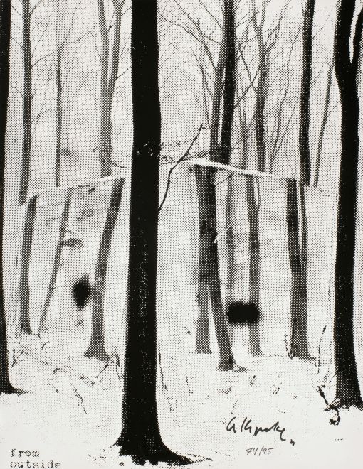 Druck von Arthur Köpcke. Punkt Raster, schwarz weiß. Die Ansicht eines kahlen Waldes. Ein räumlicher Quader im Bild ist ausgeschnitten und leicht versetzt, so dass man die Umrisse des Glashauses erkennt. unten steht: from outside