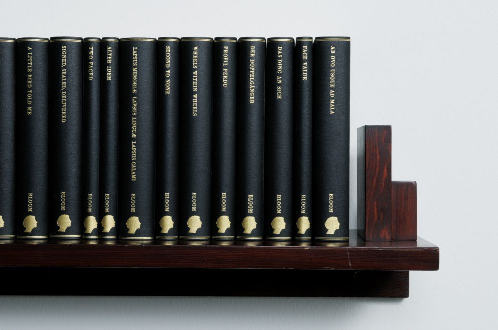 Edition der Künstlerin Barbara Bloom. Ein Wandregal aus dunkelbraunem Holz hängt an der Wand. Darauf stehen 38 in schwarzes Leinen gebundene Bücher mit Goldprägung auf den Buchrücken. Detailansicht, die einen Teil des Regals zeigt.