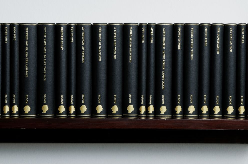 Edition der Künstlerin Barbara Bloom. Ein Wandregal aus dunkelbraunem Holz hängt an der Wand. Darauf stehen 38 in schwarzes Leinen gebundene Bücher mit Goldprägung auf den Buchrücken. Detailansicht, die einen Teil des Regals zeigt.