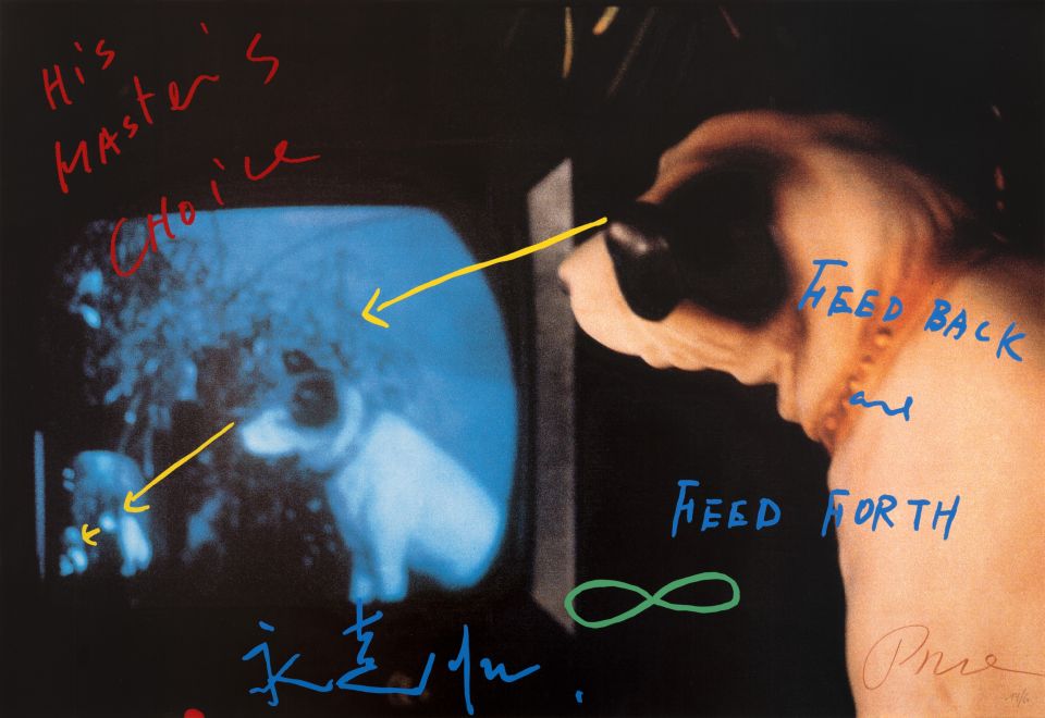 Offset print by Nam June Paik showing a closed-circuit installation of a plastic dog staring at himself on a tv screen. Screen printed over in bright colors are arrows and handwritten in red: his master’s choice, and in blue FEED BACK AND FEED FORTH