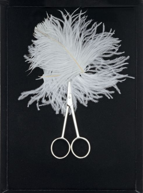 Edition von Gülsün Karamustafa. Blick auf die geöffnete schwarze Samtschatulle mit einer Schere und einer weißen Feder