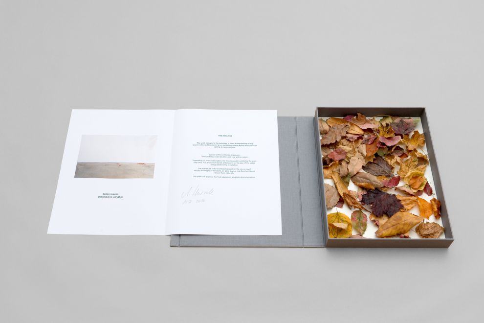 Edition der Künstlerin Alicja Kwade. Eine graue Leinenkassette liegt geöffnet auf grauem Hintergrund. In der Kassette sind vertrocknete Blätter. Ein Bogen mit einer Abbildung und der Handlungsanweisung liegt im Deckel.