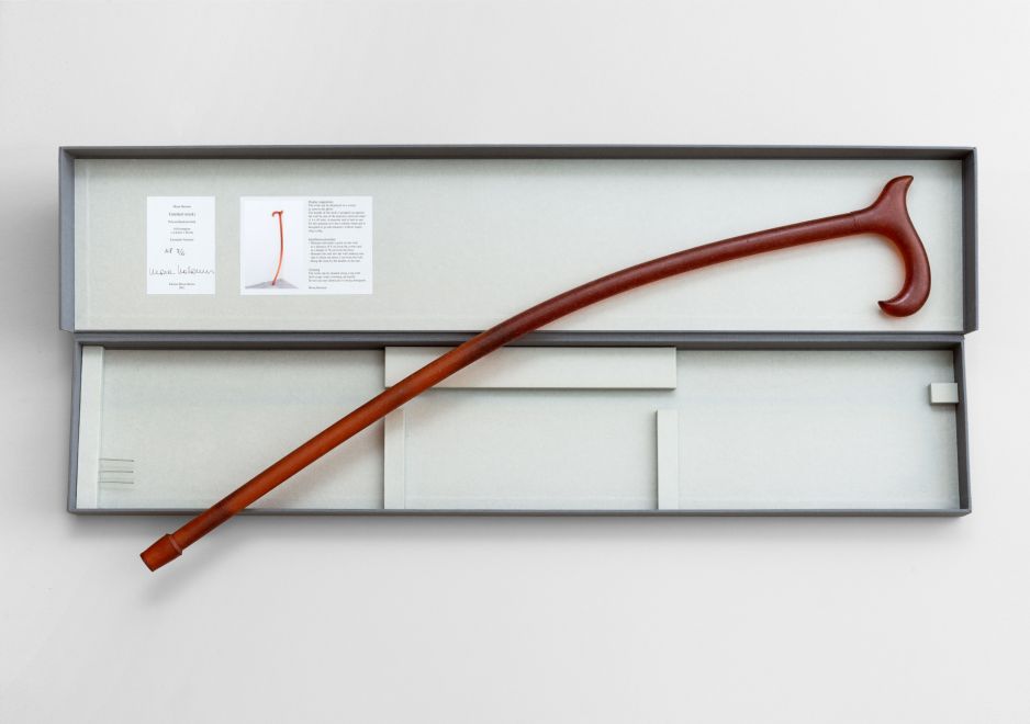 Edition von Mona Hatoum. Ein Gehstock aus weichem, braunen Silikon liegt über der geöffneten dafür hergestellten Leinenkassette In den Deckel der Kassette sind zwei Label geklebt mit Text, Bild und Signatur