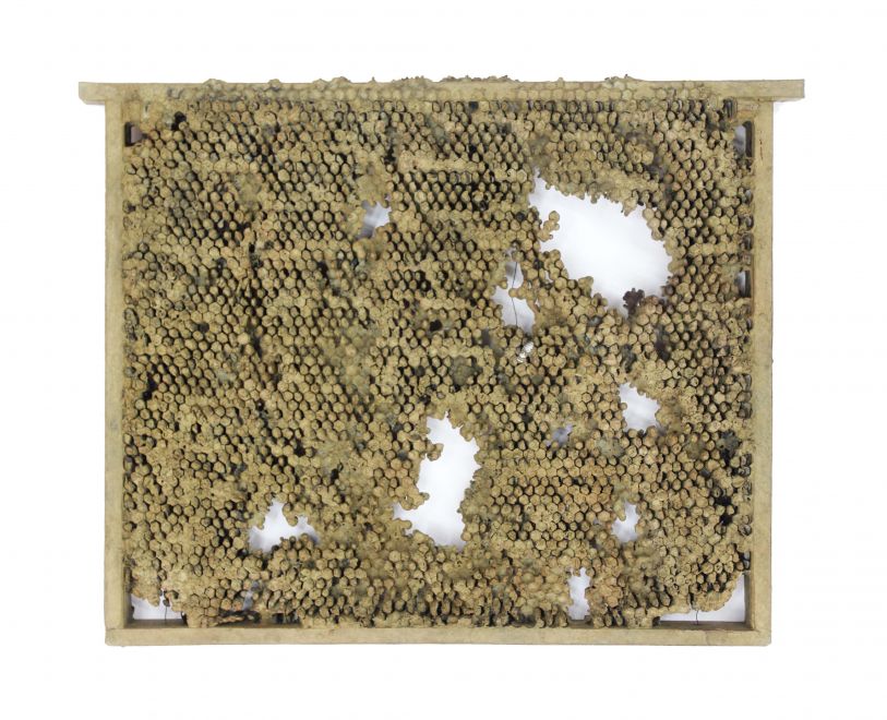 Edition des Künstlers Bjørn Nørgaard. In Bronze gegossene und mit oker Farbe beschichtete Wabenwand aus einem Bienenstock. Die Waben ergeben ein durchbrochenes Muster, ab einigen Stellen ist der Inhalt der Waben noch in Bronze vorhanden. Eine Biene modelliert aus Silber sitzt auf den Waben.