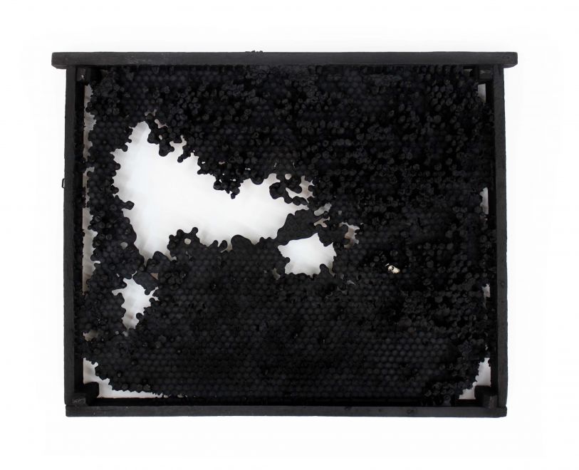 Edition des Künstlers Bjørn Nørgaard. In Bronze gegossene und mit schwarzer Farbe beschichtete Wabenwand aus einem Bienenstock. Die Waben ergeben ein durchbrochenes Muster, ab einigen Stellen ist der Inhalt der Waben noch in Bronze vorhanden. Eine Biene modelliert aus Silber sitzt auf den Waben.