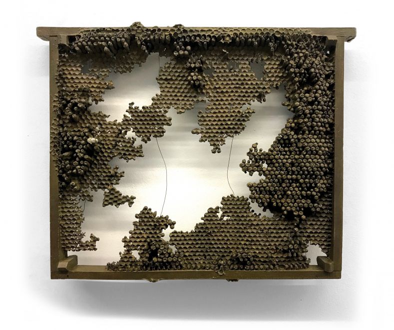 Edition des Künstlers Bjørn Nørgaard. In Bronze gegossene Wabenwand aus einem Bienenstock. Die Waben ergeben ein durchbrochenes Muster, ab einigen Stellen ist der Inhalt der Waben noch in Bronze vorhanden. Eine Biene modelliert aus Silber sitzt auf den Waben.