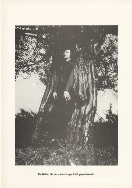 Druck von Sigmar Polke aus der Serie höhere Wesen befehlen. s/w Foto von Polke, der sich in den holen Stamm einer Weide lehnt. Darunter steht: Die Weide, die nur meinetwegen hohl gewachsen ist