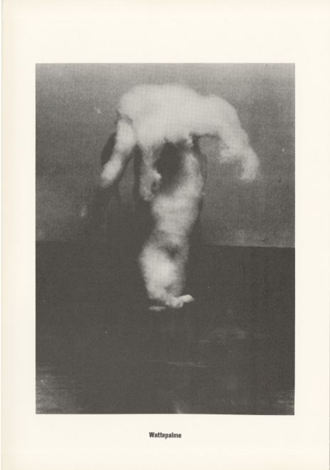 Druck von Sigmar Polke aus der Serie höhere Wesen befehlen. s/w Foto von einem Stück Watte, das in Form einer Palme geform wurde. Darunter steht: Wattepalme