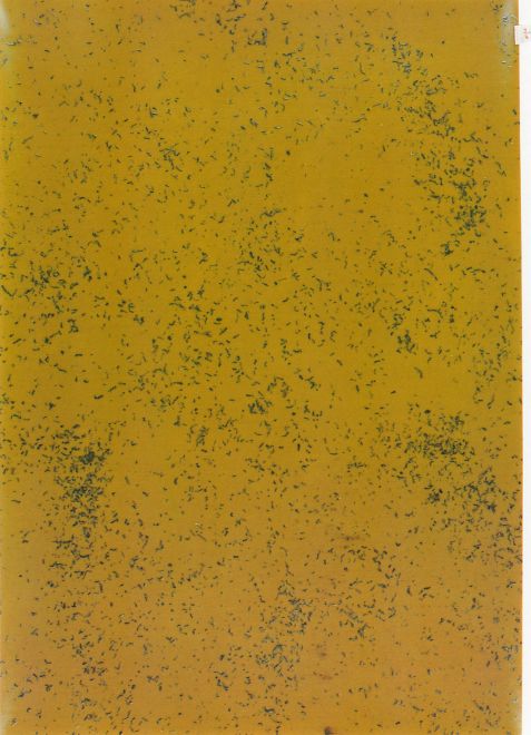 Mischung aus Polyester, Tee und PVC formt eine gelbliche Fläche, in die die zerriebenen Teeblätter eingegossen sind