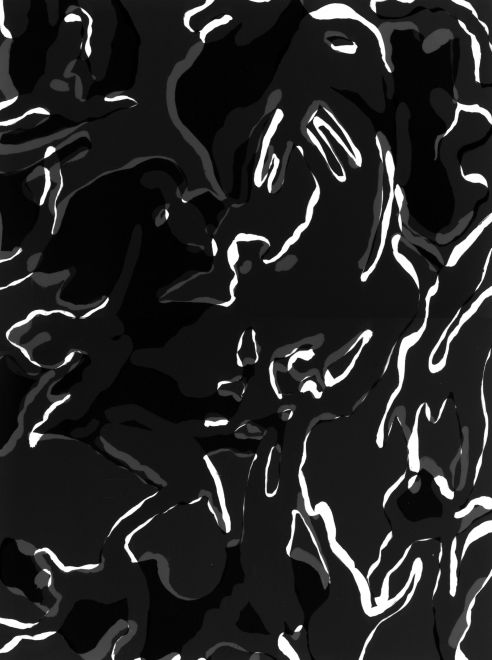 Photogram by the artist Sunah Choi. Camouflage pattern superimposed in black, white and shades of gray.