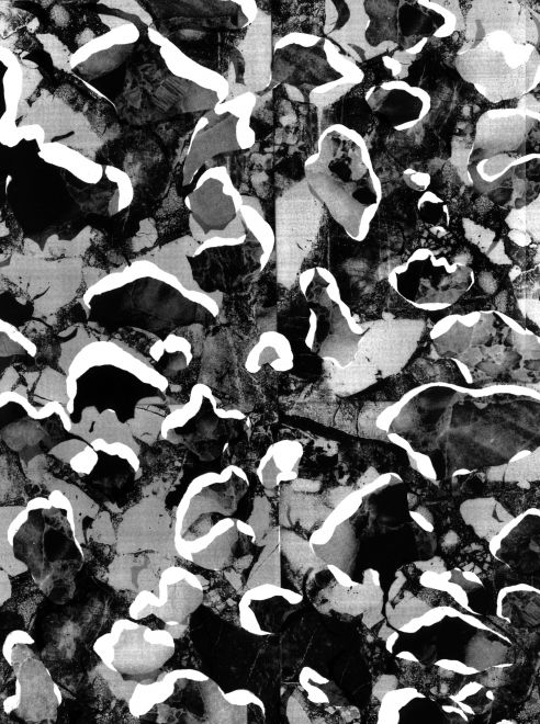 Photogram by the artist Sunah Choi. Camouflage pattern superimposed in black, white and shades of gray.