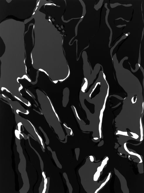 Photogram by the artist Sunah Choi. Pattern superimposed in black, white and shades of gray.