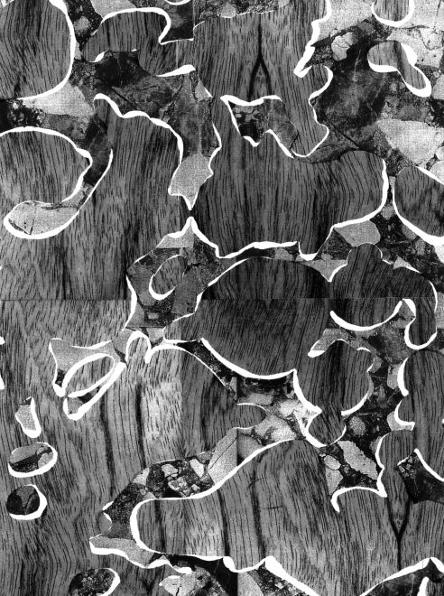 Photogram by the artist Sunah Choi. Multiple pattern superimposed in black, white and shades of gray.