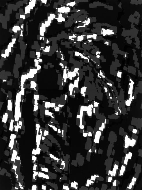 Photogram by the artist Sunah Choi. Multiple patterns superimposed in black, white and shades of gray.