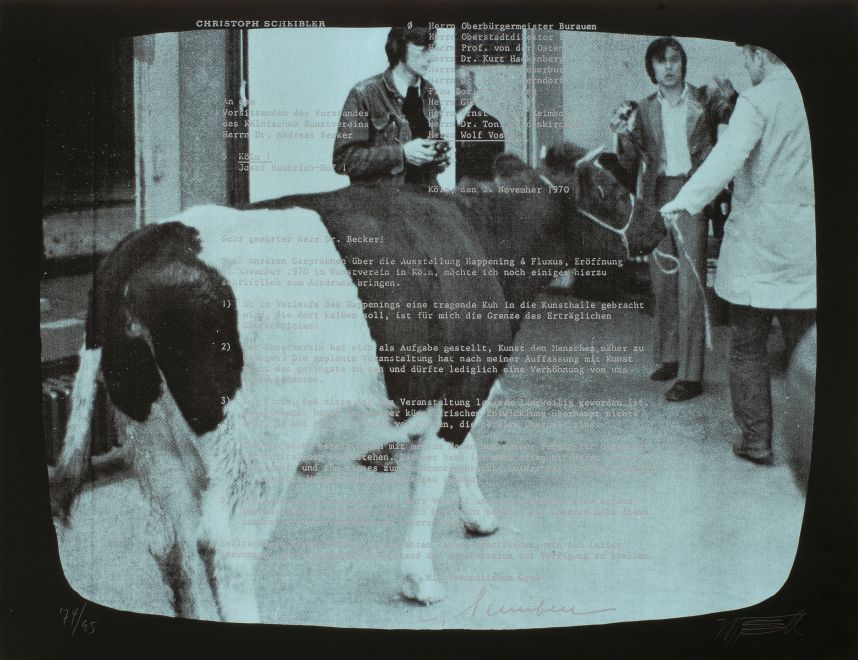 Siebdruck von Wolf Vostell zeigt ein Foto von einer trächtigen Kuh, die aus dem Kölnischen Kunstverein abgeführt wird, in dem sie eigentlich kalben sollte. In Silber ist darüber ein Beschwerdebrief über die Aktion gedruckt. Das Foto ist schwarz umrahmt, so dass es wie ein Fernsehbild aussieht.