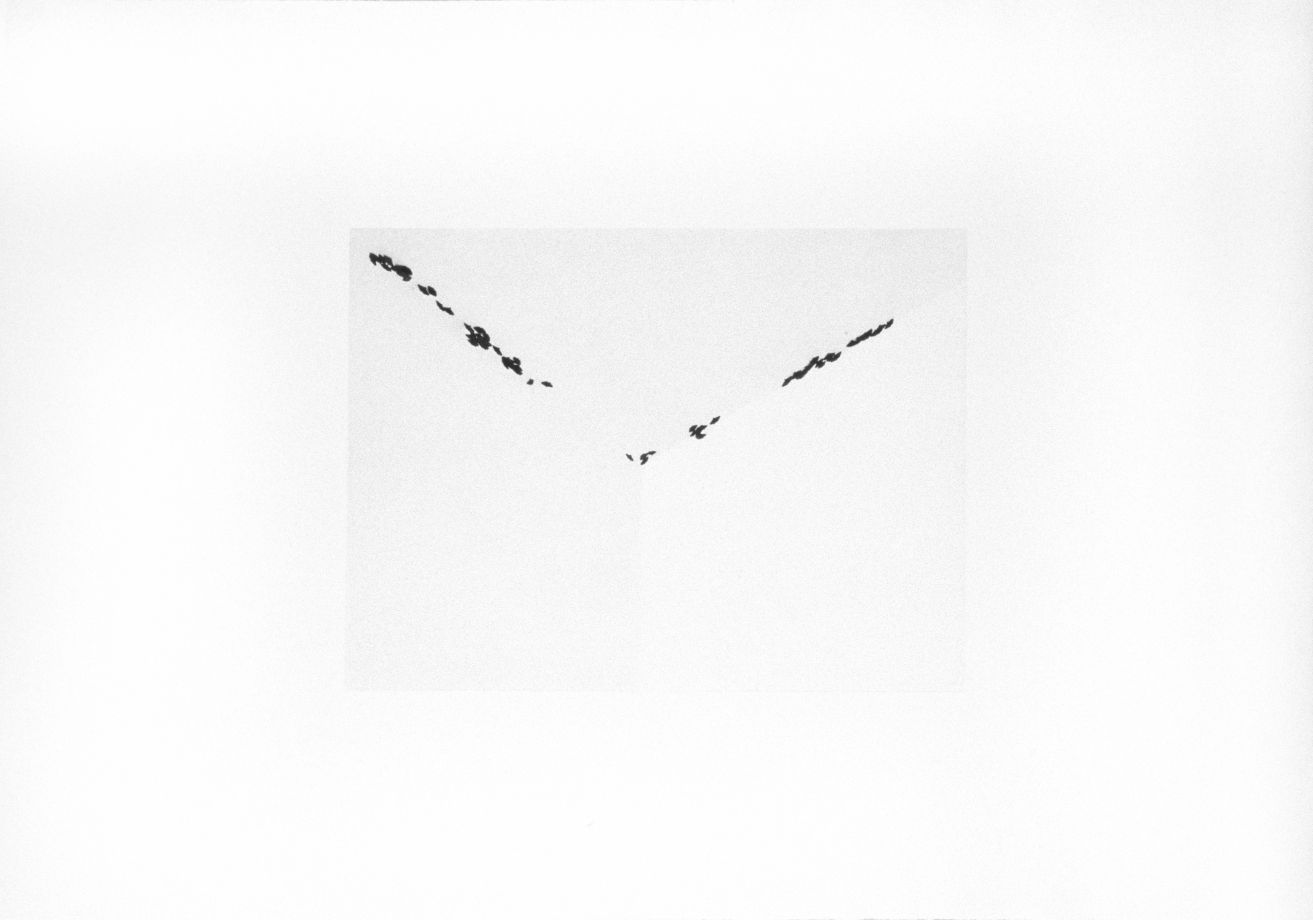 Fotogravur von Anri Sala. Die Ecke eines hellen, weißen Raumes, kaum zu erkennen. An den Kanten entlang sind einige schwarze Formen