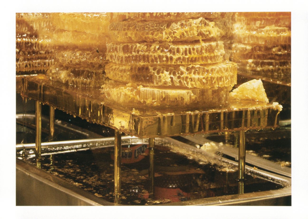 Offsetdruck von Sarkis. Nahaufnahme von gestapelten, triefenden Honigwaben, die auf einem goldenen Gestell liegen, in goldenes Licht getaucht.