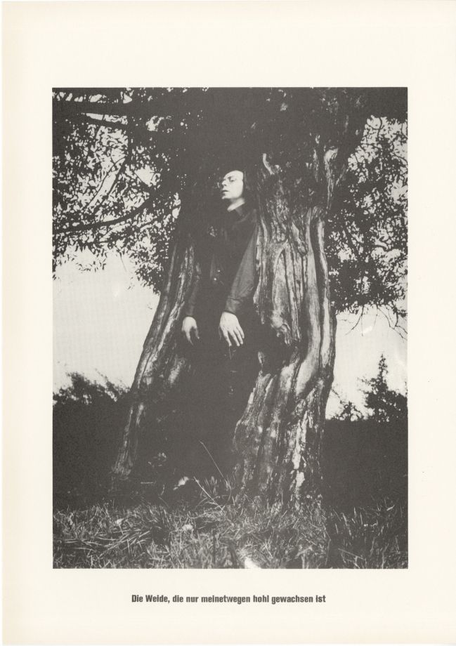 Print by Sigmar Polke