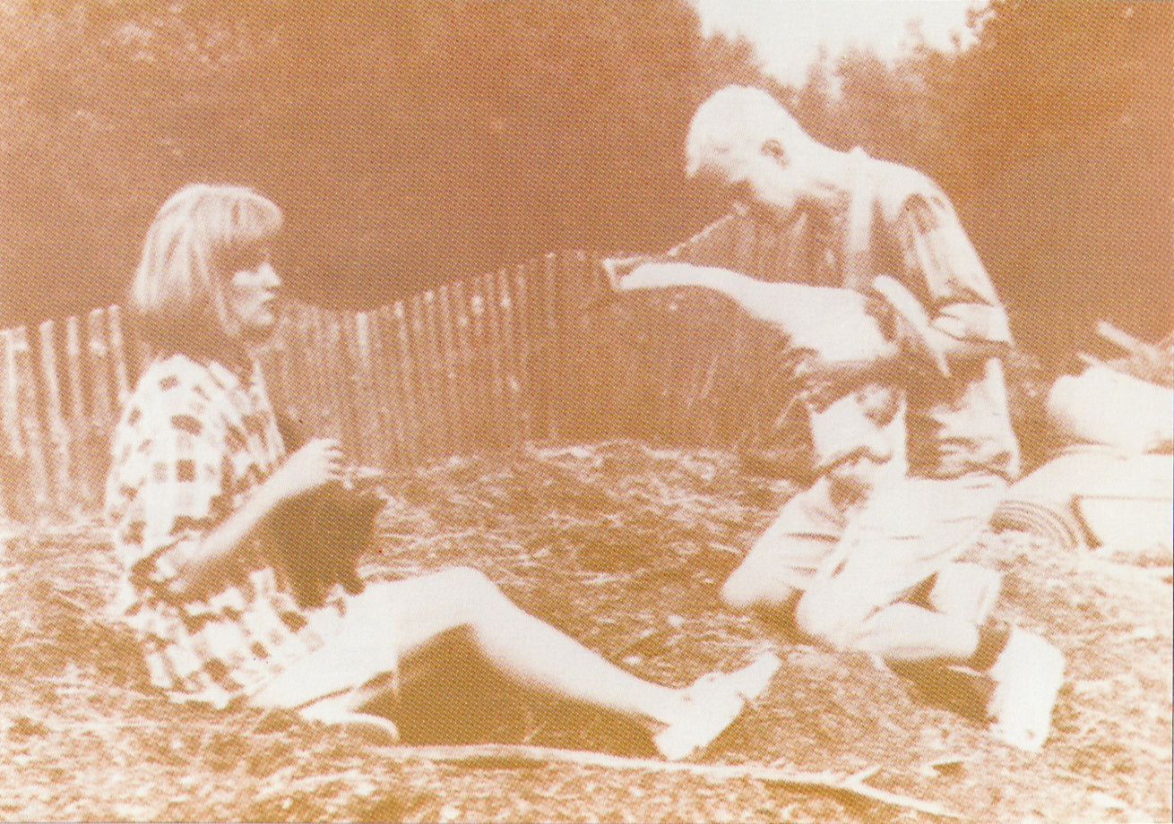 Siebdruck von Rosemarie Trockel zeigt ein verschwommenes, idyllisches Foto in Sepia mit Druckraster, auf dem ein junges Paar zu sehen ist, das auf einer Wiese sitzt. Sie hat eine schwarze Katze auf dem Schoß, er hält eine Gans fest