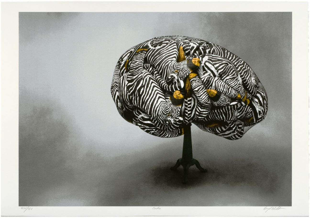 Graphic by Boyd Webb shows inflatable zebras with yellow snouts held together in a net in the shape of a brain, on a stand against a background in shades of gray